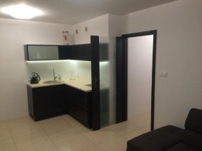 Apartament w Toruniu, Torun